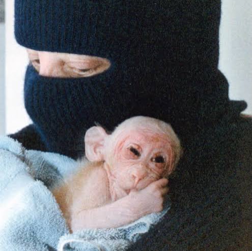 Antifa_Ultras tweet media