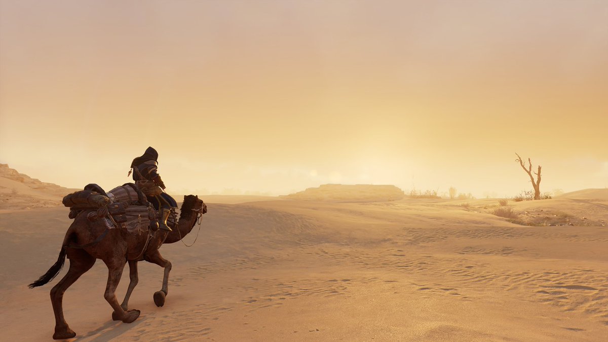 QuaresmaVictor's tweet photo. @assassinscreed https://t.co/eJdE0gs2Tg