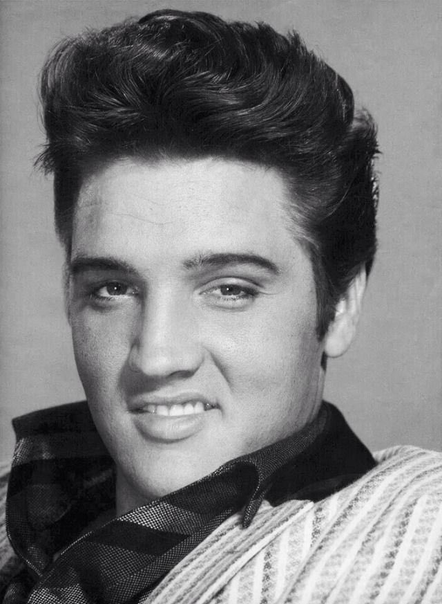 KeibaKate's tweet photo. The resemblance is uncanny! #TOElvis #テーオーエルビス https://t.co/RfGdVTeILB
