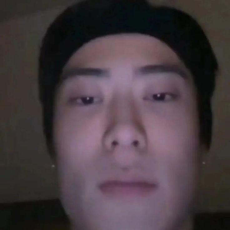 lu the cat tweet media