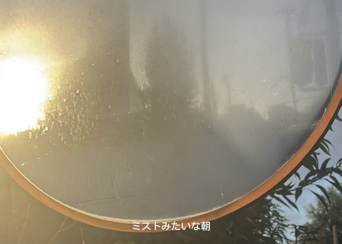 生活 tweet media