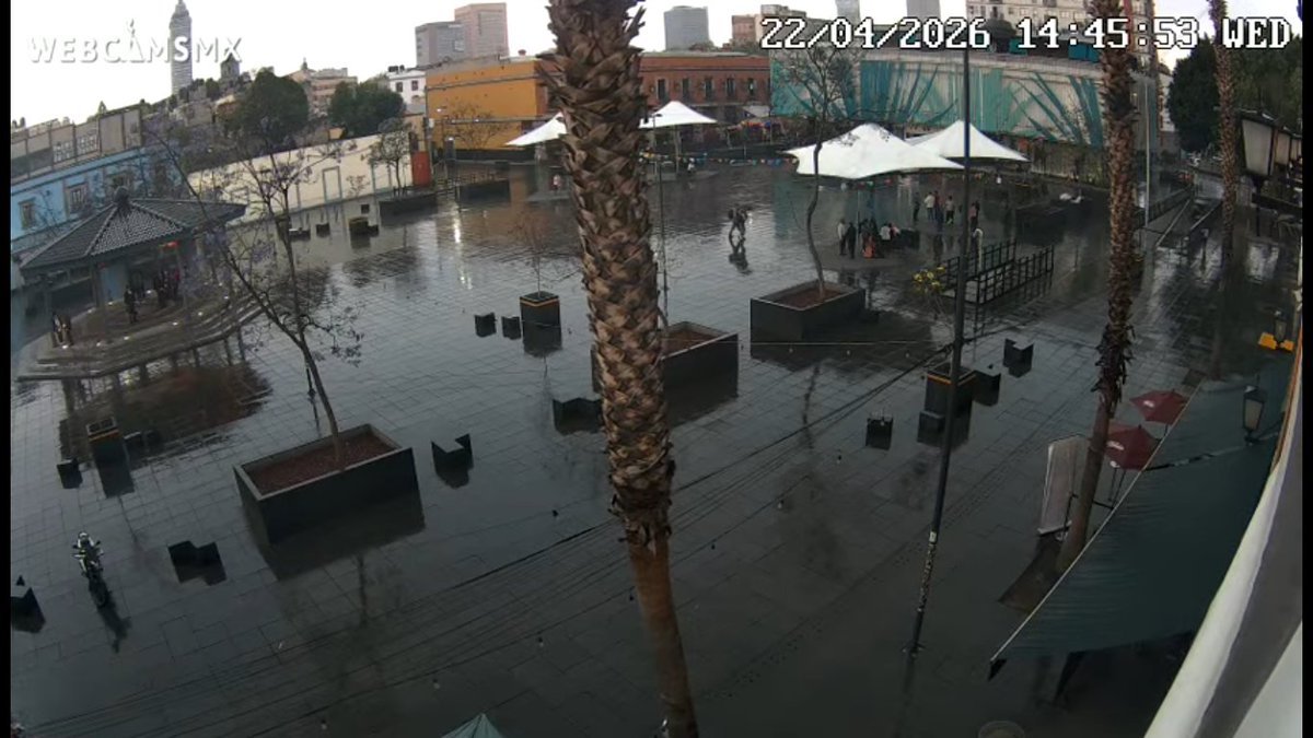 webcamsdemexico's tweet image. ¡¡¡La ropaaaa!!!

🌧️Comienza a llover en la Ciudad de México.

¿Llueve en tu localidad?
Déjanos tu comentario. 💬

Vistas #EnVivo:

#Zócalo (Toma fija desde @GranHotelCM):
youtube.com/watch?v=6ImBqG…

#Basílica:
youtube.com/watch?v=RjWN-J…

#Palacio de #BellasArtes:
