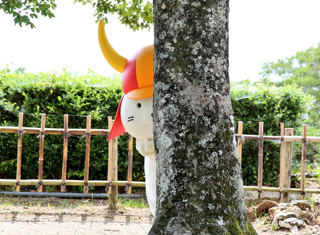 彦根城内 鐘の丸売店【公式】 tweet media