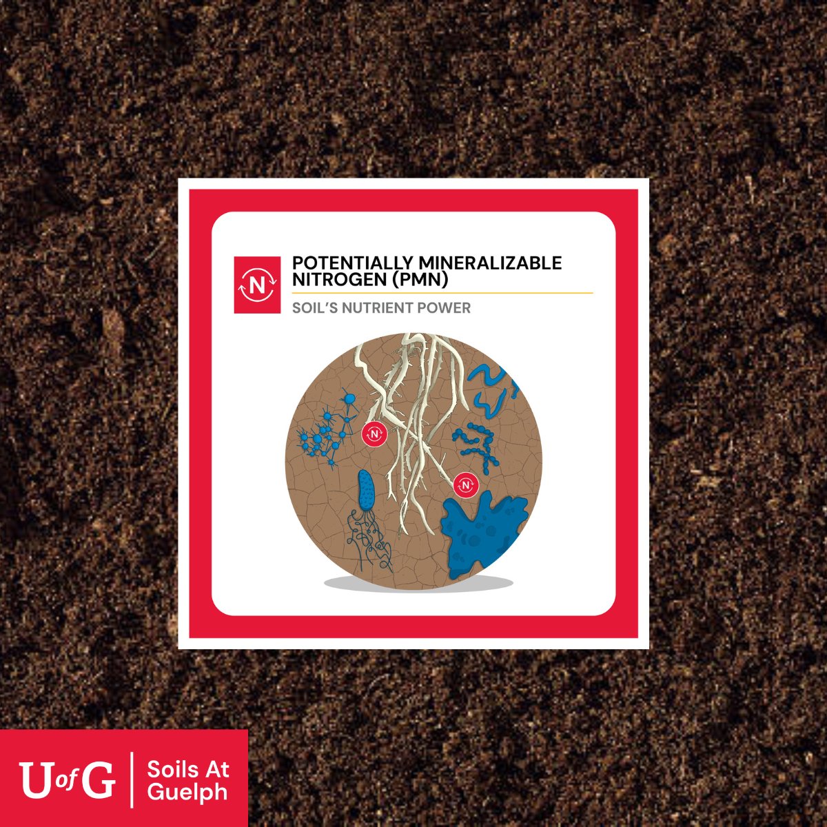 SOILS AT GUELPH tweet media
