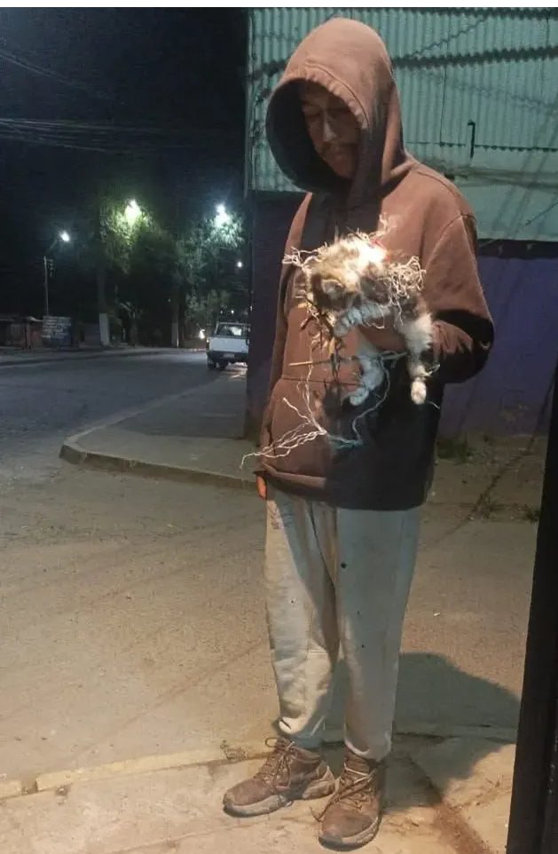 AlbertJulián informa🇨🇱 respaldo tweet media
