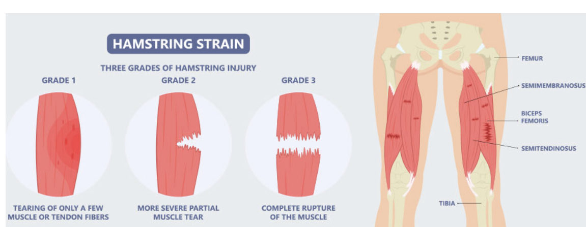 Jesse Morse, M.D. tweet media