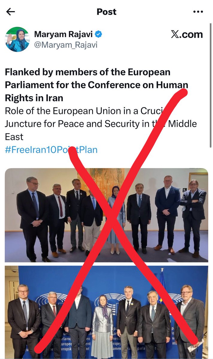 به یاد عسل شفیعی | Metis tweet media