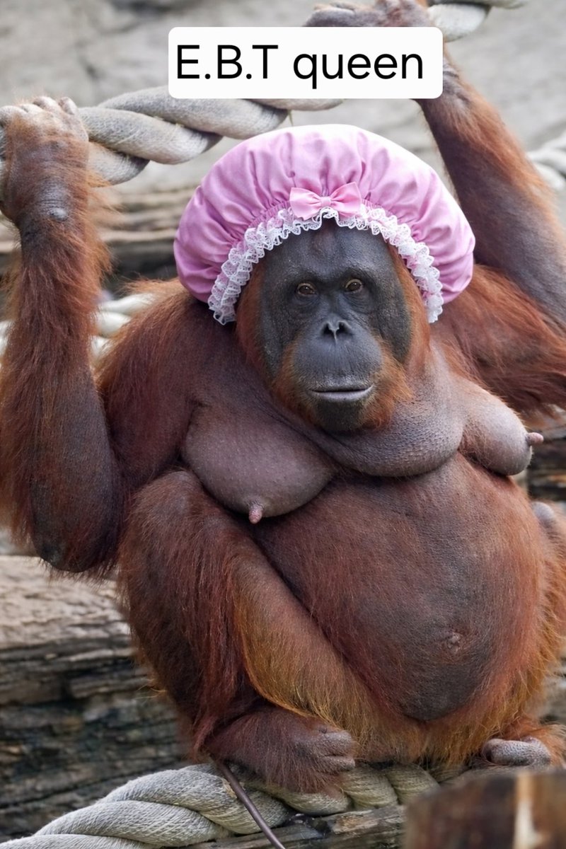 TheDarkGentleman tweet media