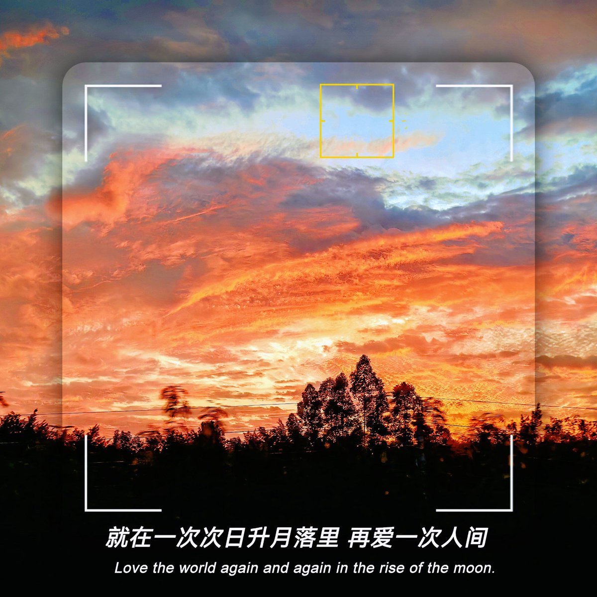 bobyuezhang@yahoo.com tweet media