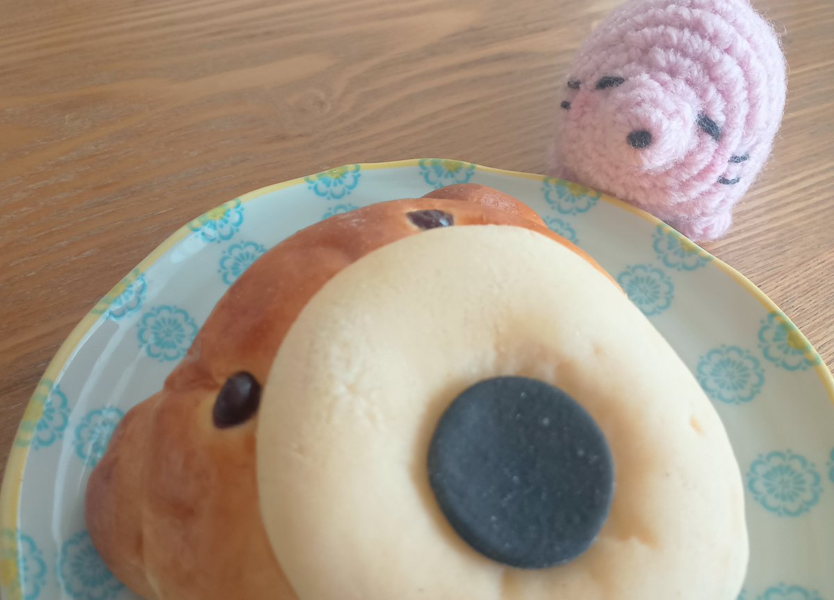 あにょざらし観測記 tweet media