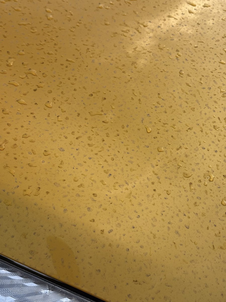 くまｼｬﾝ tweet media