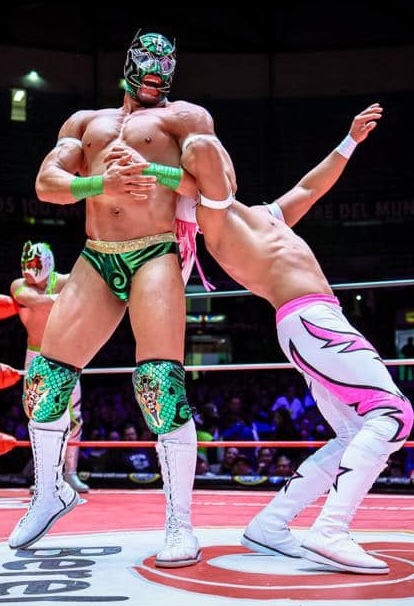 Beefcakes of Wrestling tweet media