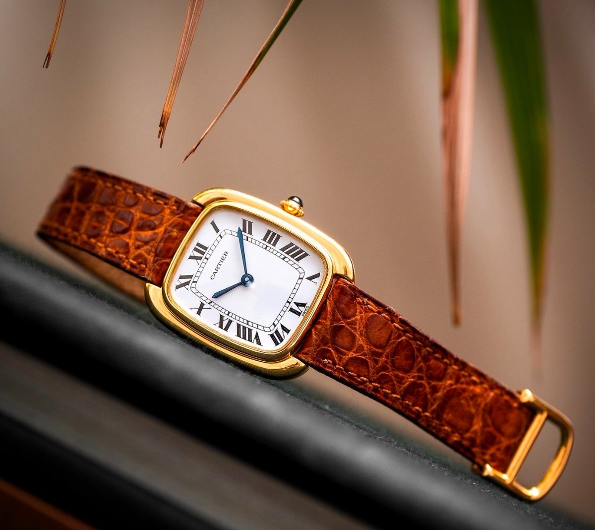 THRE4DB4RE's tweet image. ⠀
⠀⠀⠀Standouts of the week .

#WatchWednesday
⠀