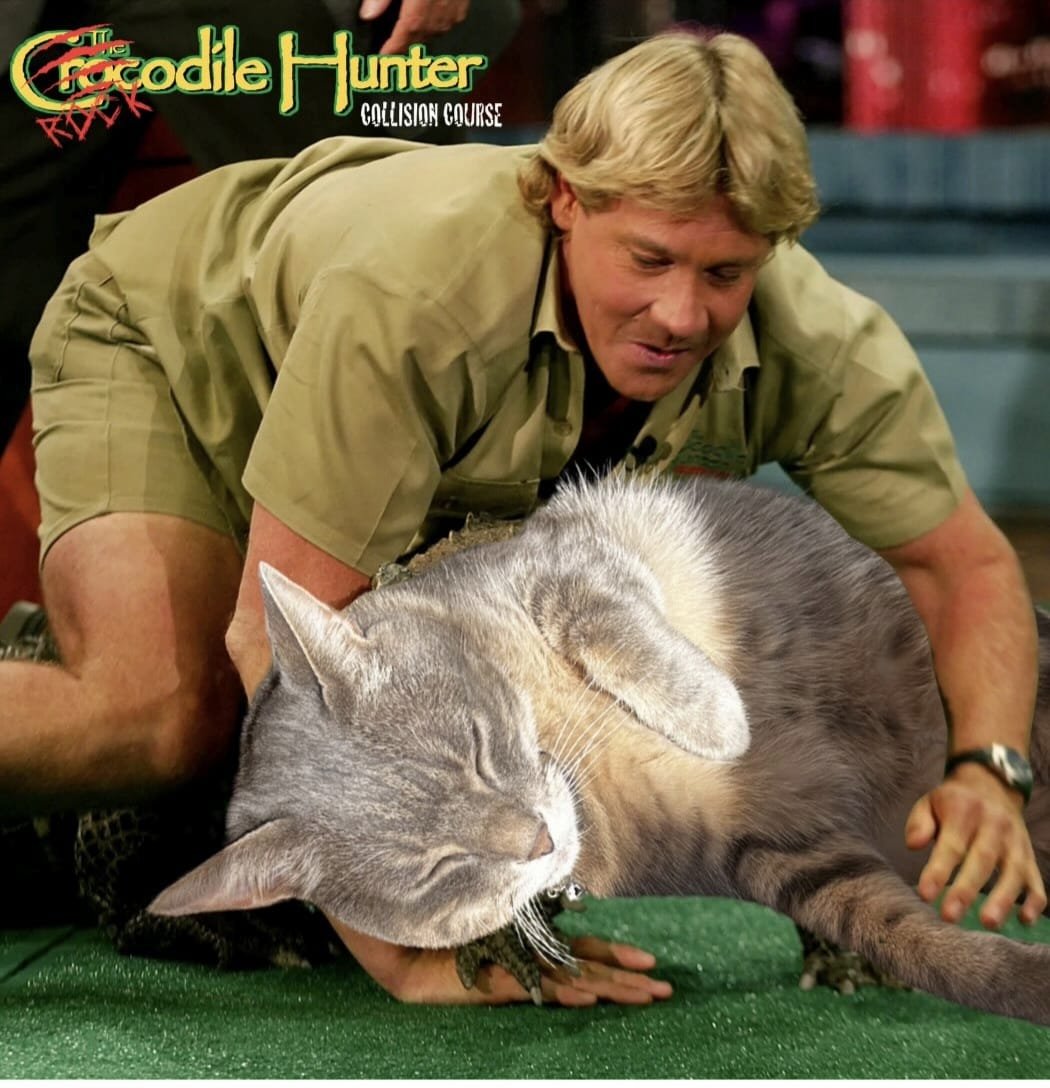 “Crikey! This Croc’s gone soft!!”- Steve Irwin, if he met Rocky pretending to be a crocodile, probably. 
Happy Earth Day!! Today we remember it’s their planet too, and will be long after we’re gone facebook.com/share/p/18NTTY… #RuffHausPetsChicago