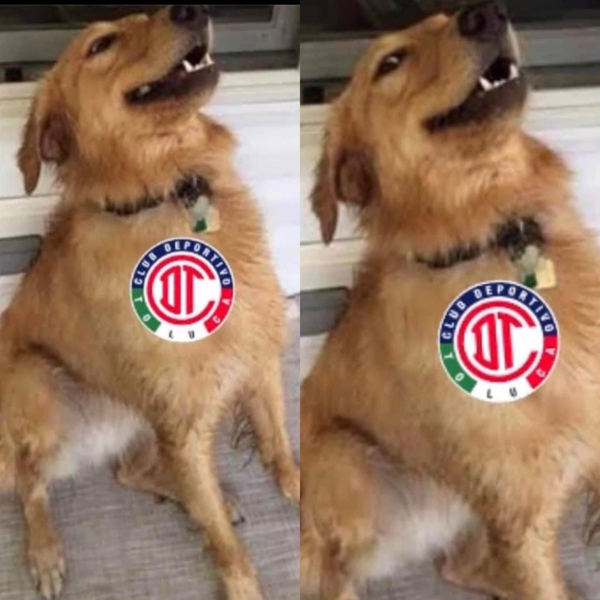 Solo Toluca “BICAMPEON” tweet media