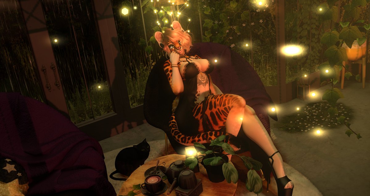 Surrie Ciasullo tweet media