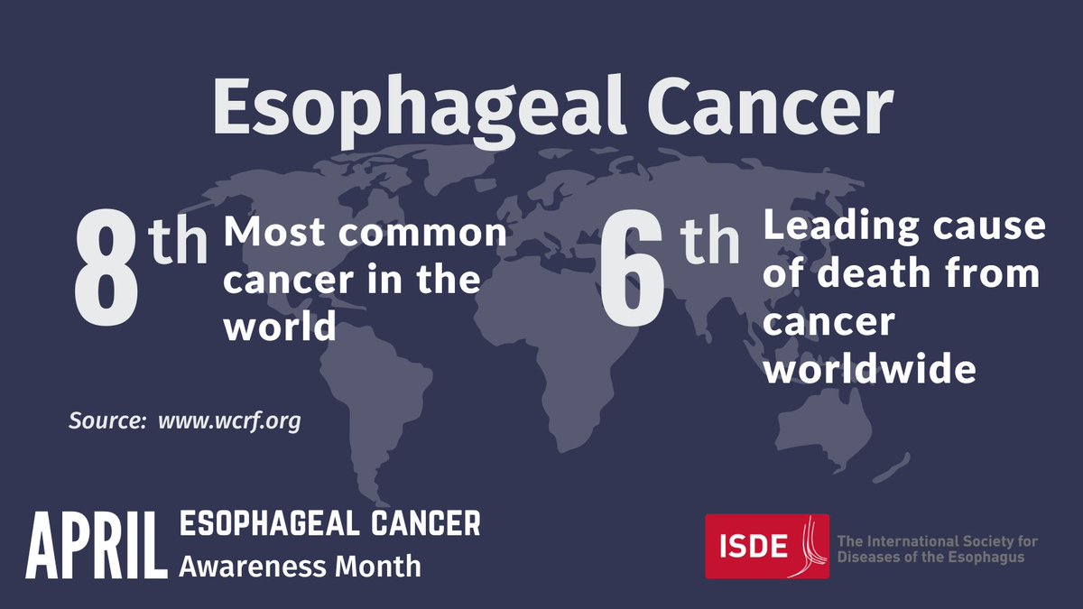 ISDE.net tweet media