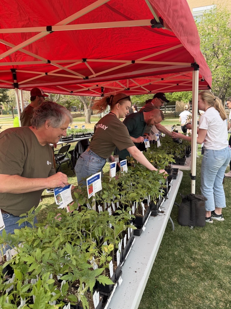 CUDivHospMed's tweet image. Celebrating the people who help everything grow! Today, we’re honoring #EarthDay and #AdministrativeProfessionalsDay with a lunch and plant exchange for our staff, because our team knows a thing or two about keeping things thriving. #TeamGrowth