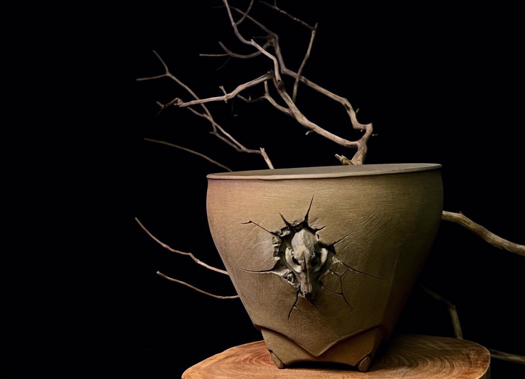 Red Dragon Nursery tweet media