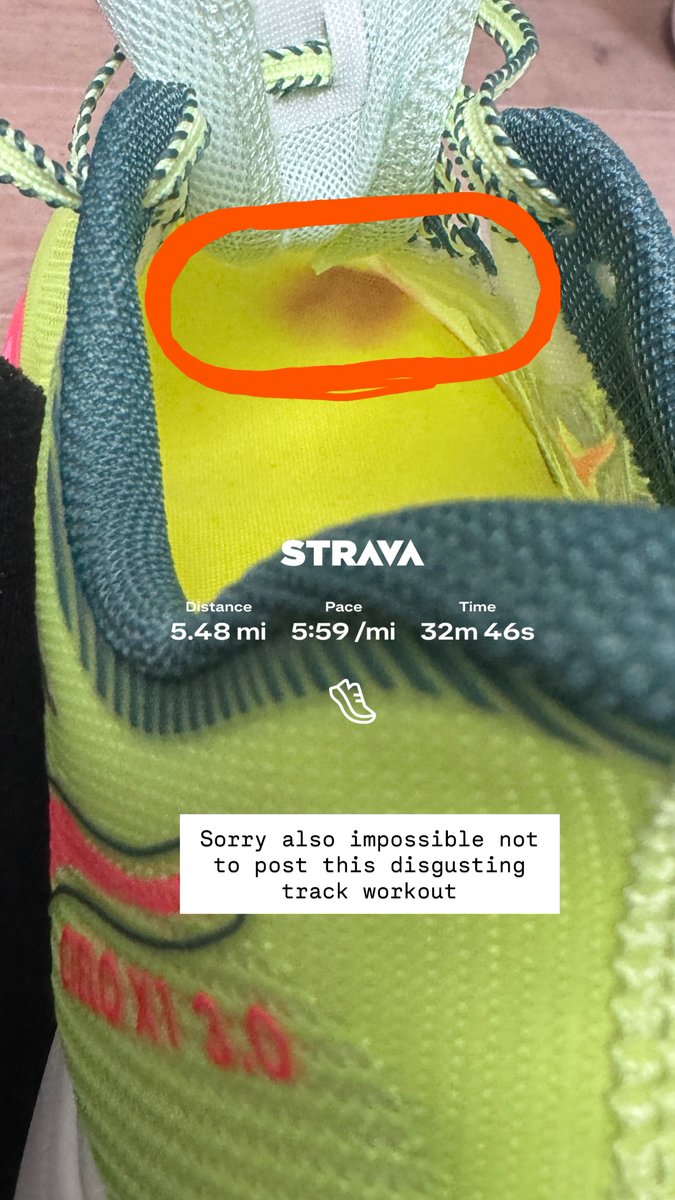 CHoltSource's tweet image. 📷| #INSTAGRAM New pictures from Claire's story (22/04).