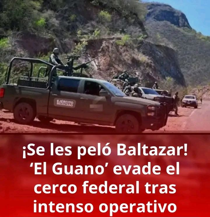 Contacto Revista tweet media