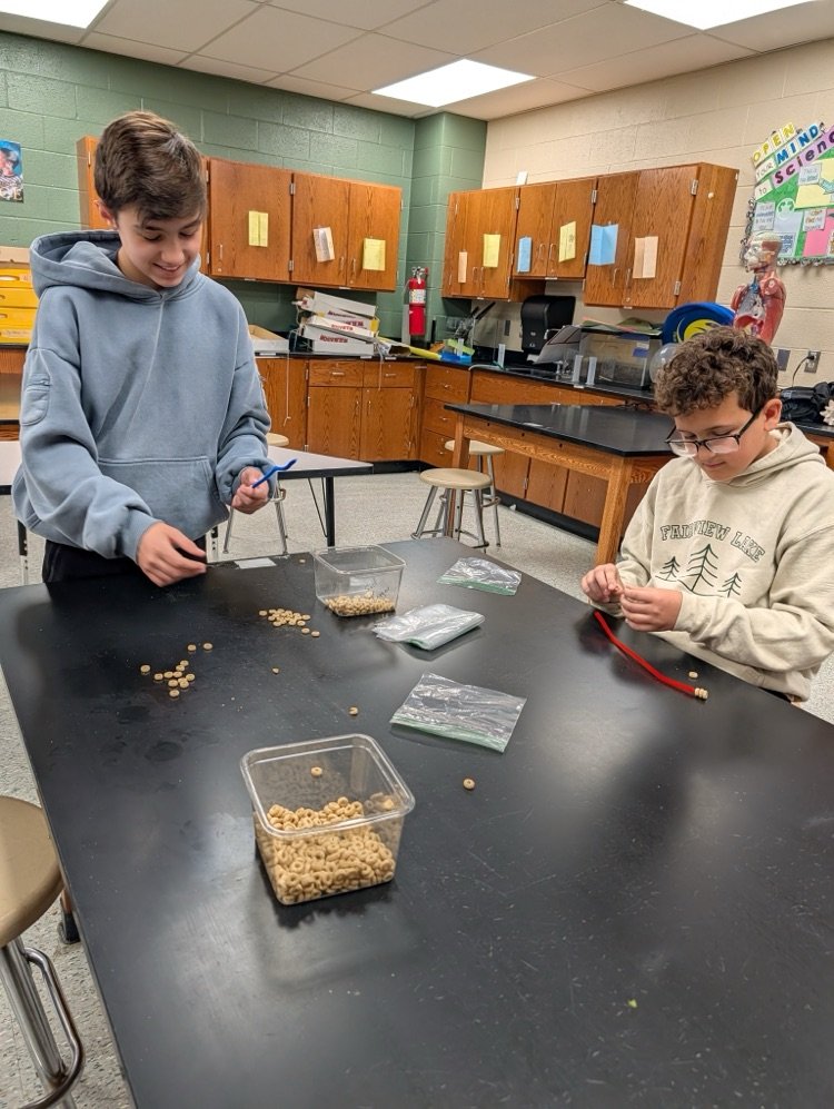 FredonFox's tweet photo. Mrs Saganiec's science class planting seeds making seed pods and making bird feeders for Earth Day. https://t.co/3eaFDBFc4i