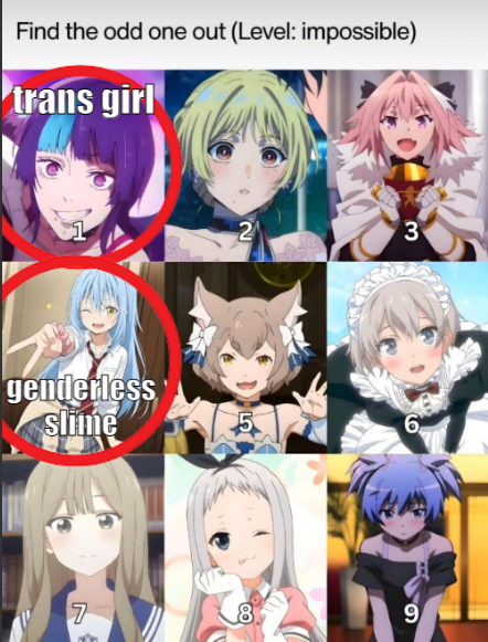 æ cookie tweet media