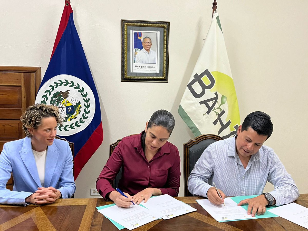 MOSCAMEDGT's tweet photo. Visitamos a las autoridades de Sanidad Agrícola de Belice junto a representantes de @USDA  con el propósito de fortalecer la Cooperación Regional contra la mosca del Mediterráneo.

Trabajamos juntos protegiendo las áreas libres de la mosca del Mediterráneo 🪰

#SanidadVegetal https://t.co/BFUIjgYGQR