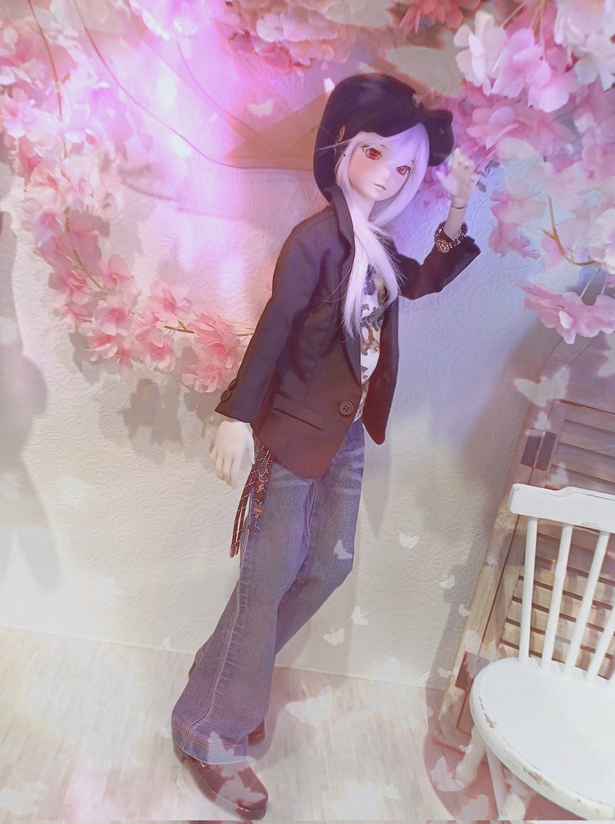 (=^・^=)🐾 tweet media