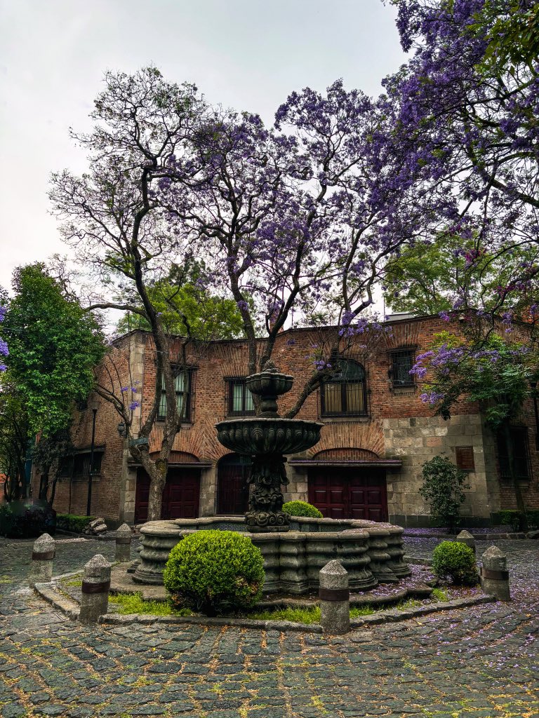 edgarramper's tweet photo. San angel siempre huele a ti #DA https://t.co/H5QYHmqCAv