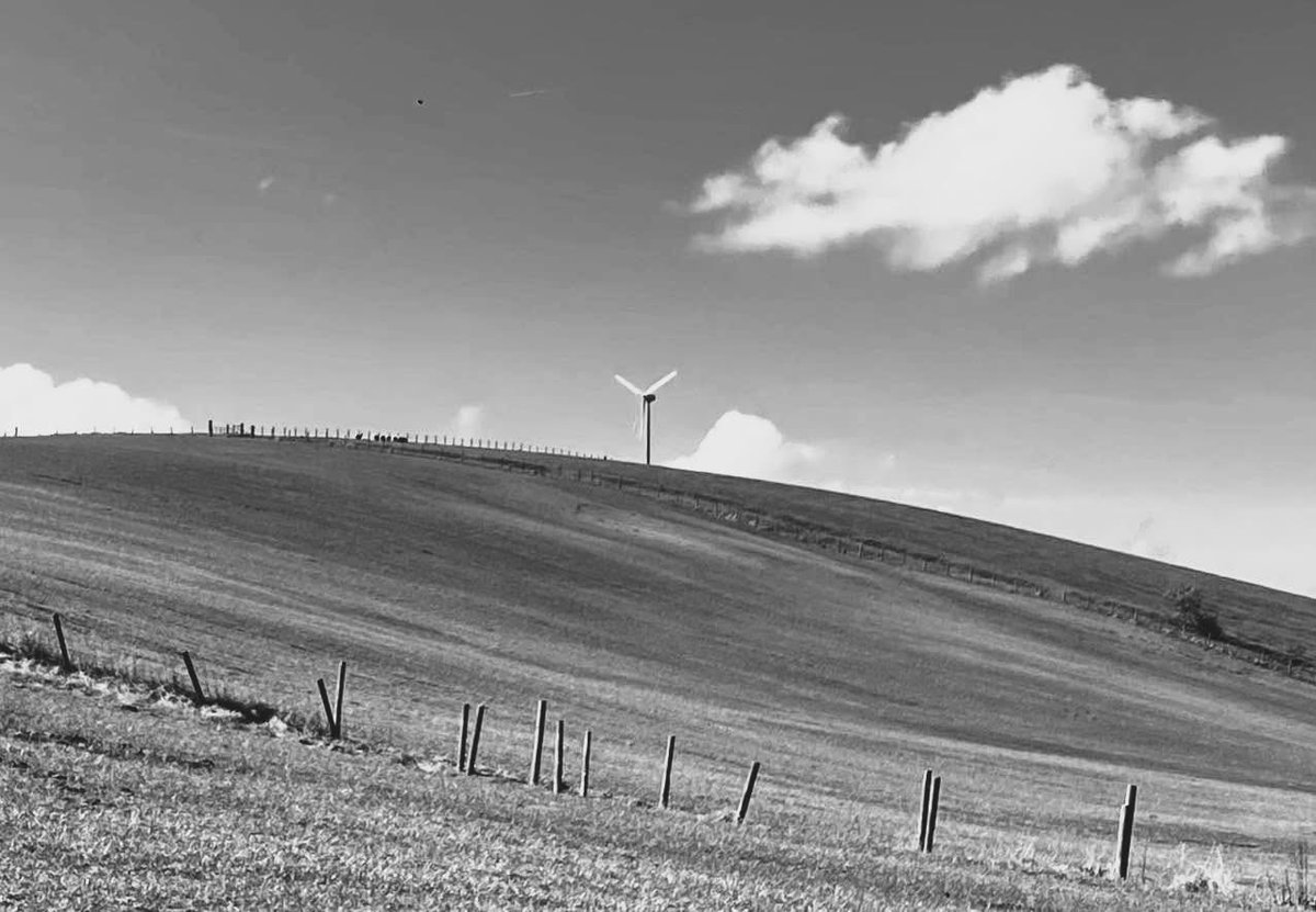 IreneSandraD's tweet image. A glorious walk in the sunshine around the #BroughtonHallEstate #Skipton @VisitYorkshire and an excellent meal #TheTempestArms (as always)