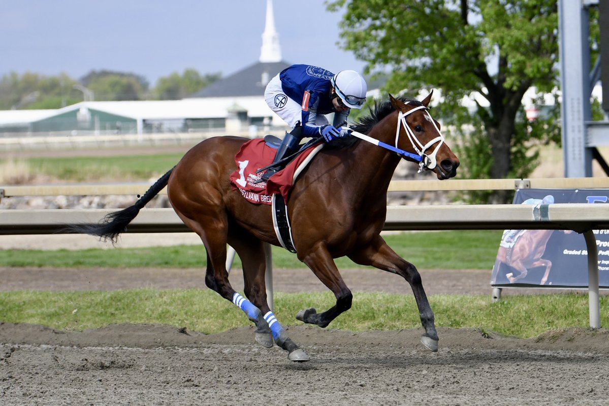 PA Bred tweet media