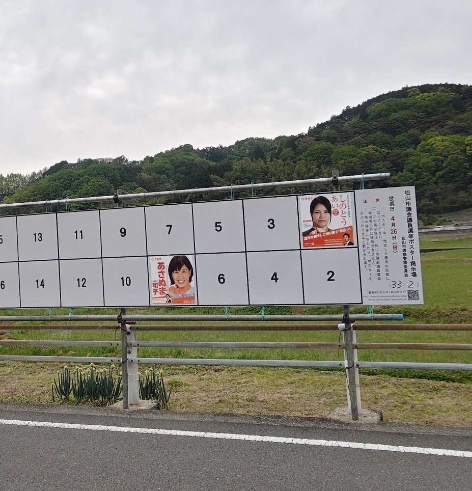 ひめくりえひめ🍊🌸 tweet media