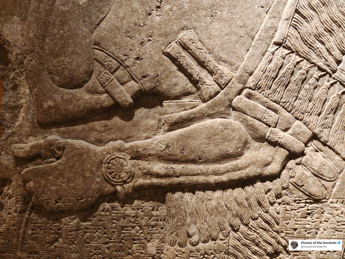 This is one of the 8 Assyrian bas-relief slabs on display at the Brooklyn Museum. Here you see two-winged Apkallu, meaning a genie or sage, and Ashurnasirpal II (883 - 859 BC), the third ruler of the Neo-Assyrian Empire.

Today, let’s see some close-ups of this energetic king,