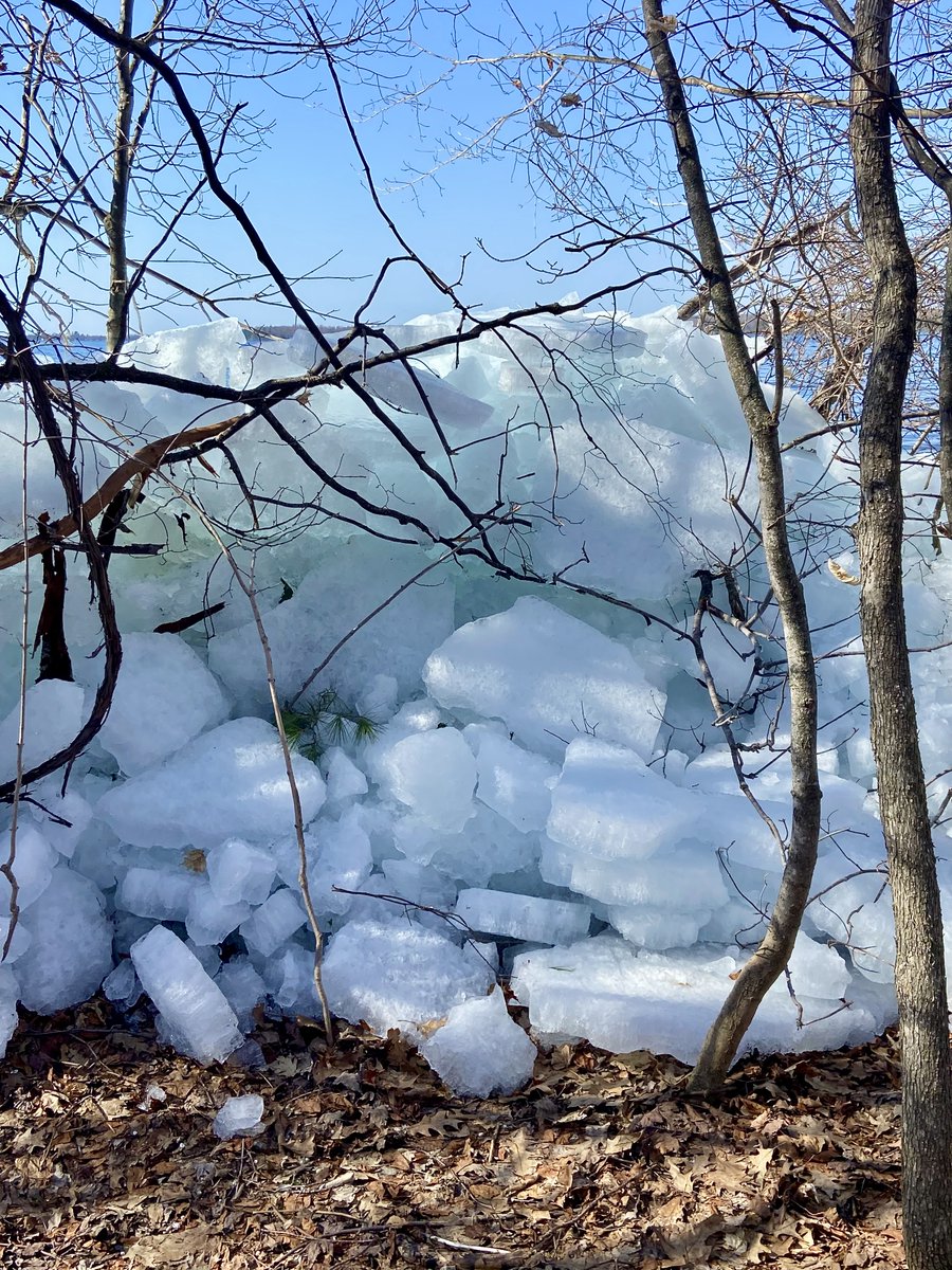 UMBS's tweet photo. Maintenance Supervisor Renee Kinney found piles of blue ice on the Douglas Lake shoreline along Grapevine Point on Tuesday, April 21, at the @UMich Biological Station. https://t.co/C7KunoVbcr