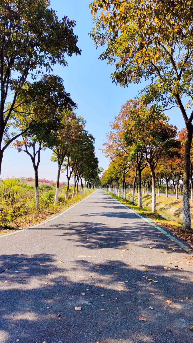 Михаил Баринов tweet media