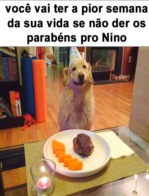 MemesEsquizo🌲 tweet media