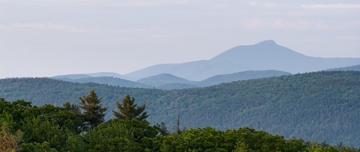 University of Vermont tweet media