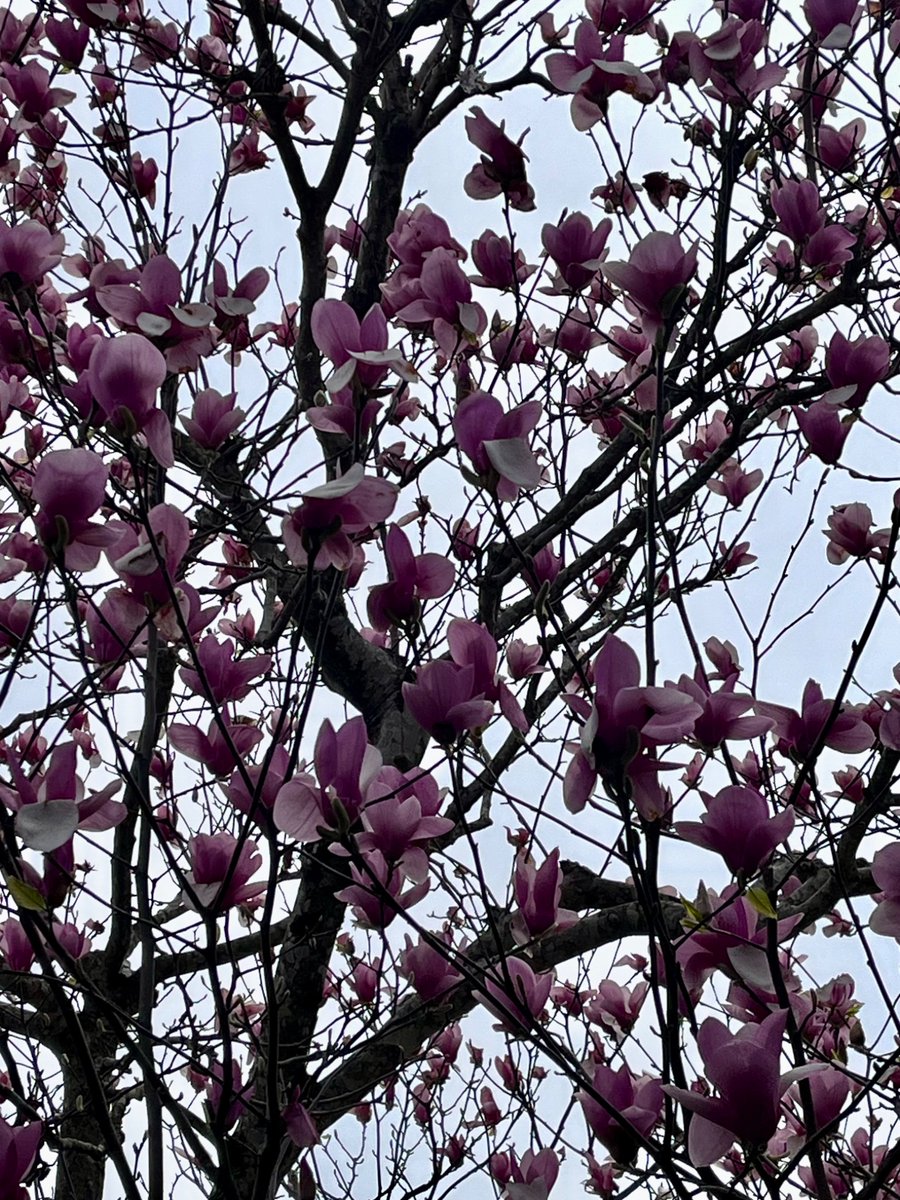 A3B2_SiO4_3's tweet image. #写真で伝える私の世界 
#キリトリセカイ 
#photo 
#箱根ルネ・ラリック美術館

不完全な個性　3/回数未定