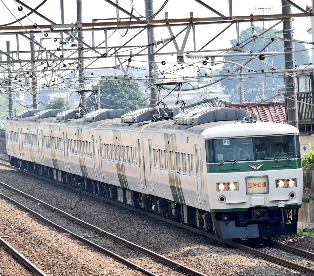 ノンビンアンチュウ tweet media