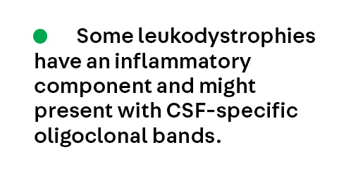 ContinuumAAN's tweet image. Key Point 6 from the article Adult-Onset Leukodystrophies Mimicking Multiple Sclerosis by Gabrielle Macaron and Roberta La Piana from the April #MultipleSclerosis and Related Disorders issue, which is available to subscribers at hubs.la/Q04cbFCB0. #NeuroTwitter #MedEd