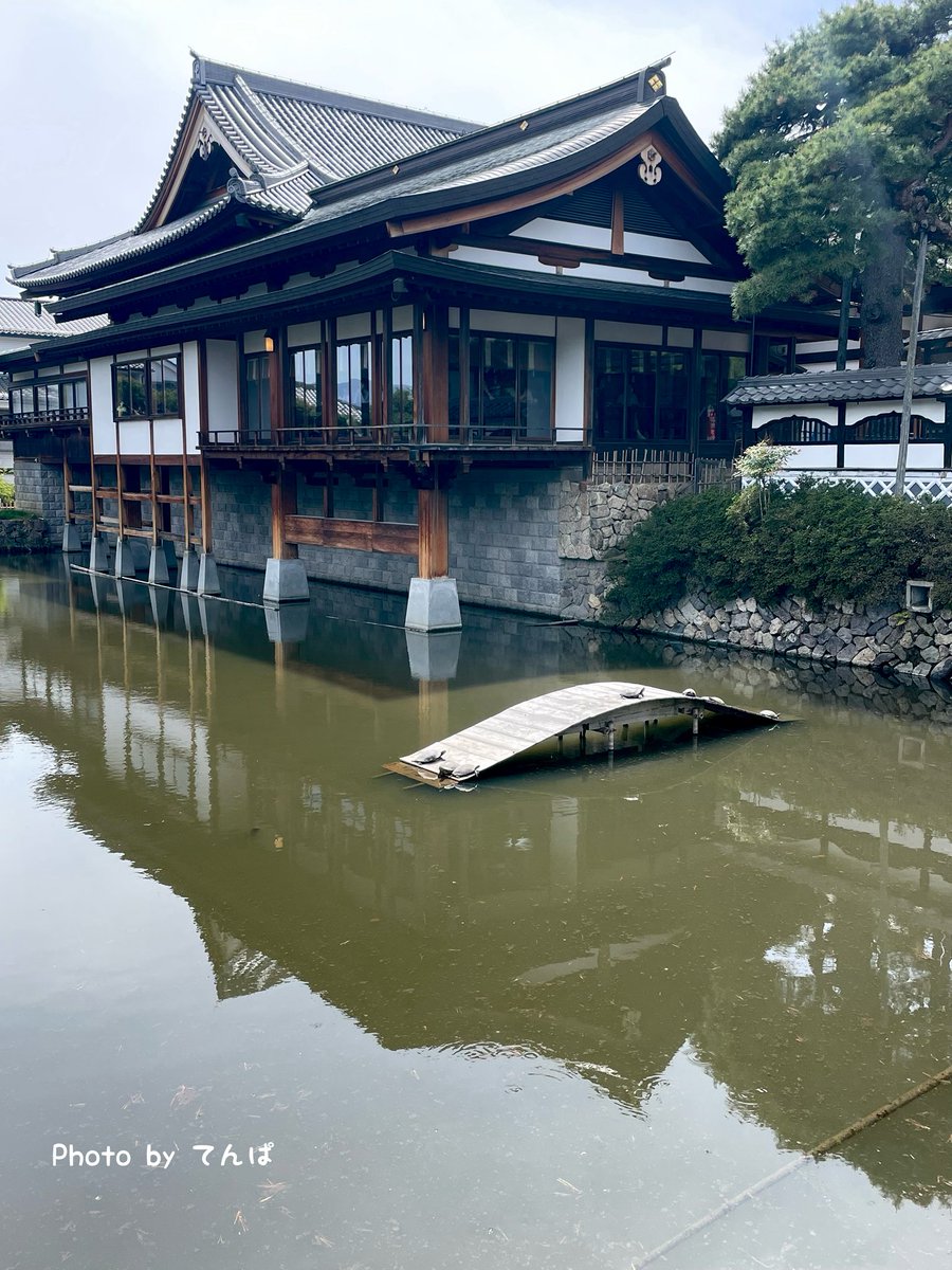 tenpa039's tweet photo. おはようござい亀🐢
善光寺 大勧進です🪜
よい1日になりますように☔️⛅️ https://t.co/biI5jgH4WU