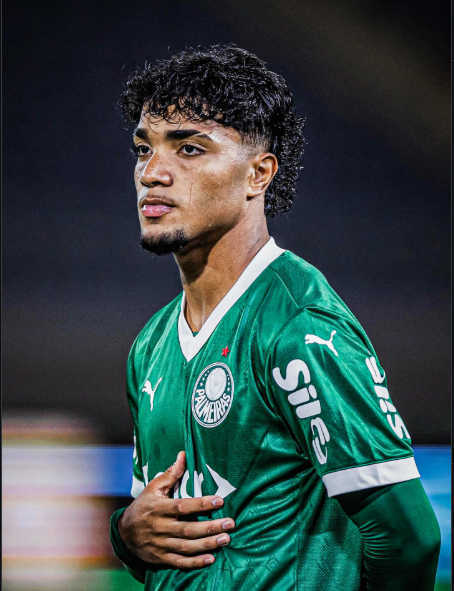 SEP Analytics 📊 tweet media