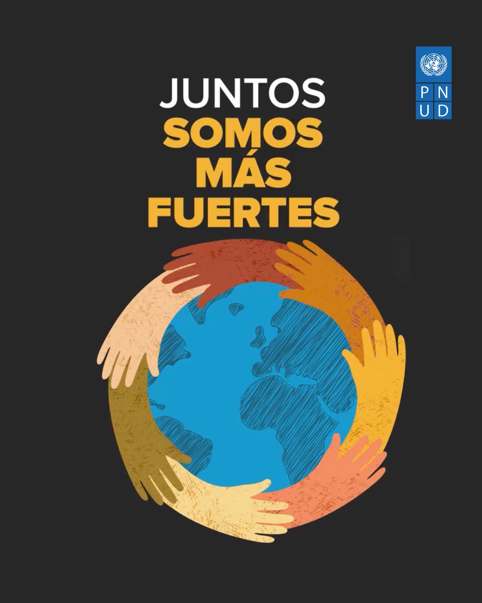 ONU Desarrollo tweet media