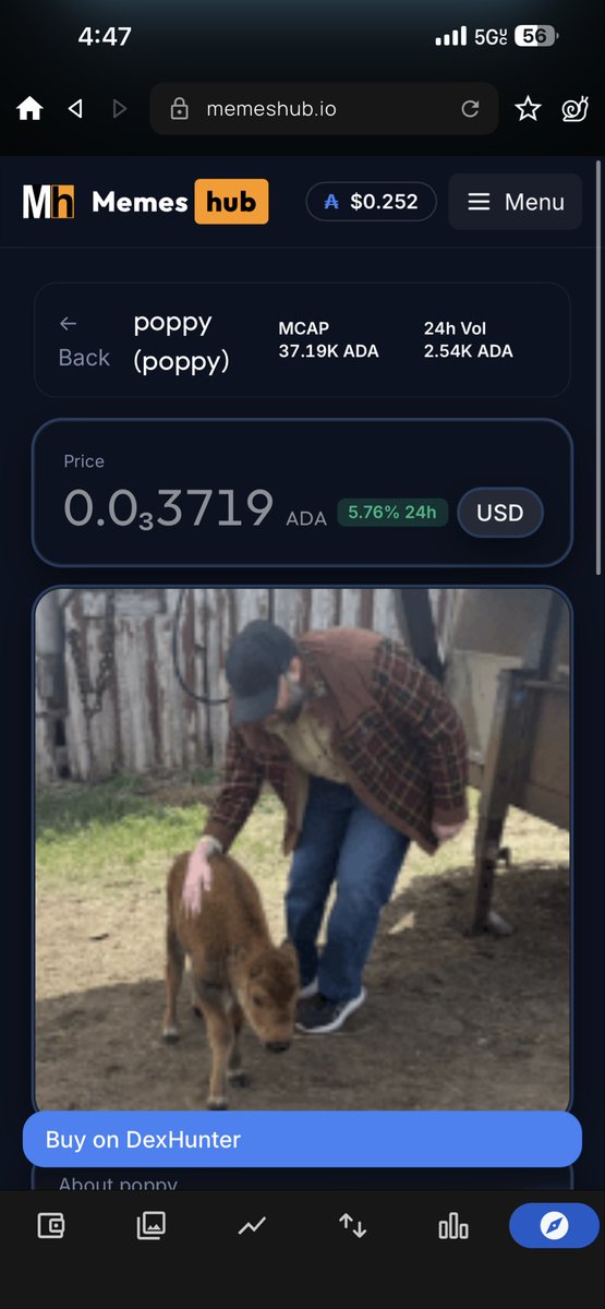 COCK 🐓 tweet media