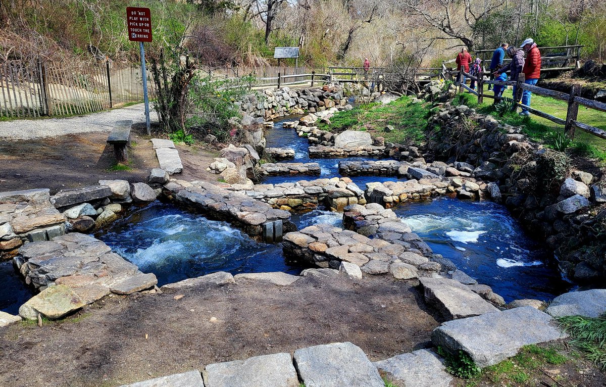 CapeHomepage's tweet image. The eye-candy beautiful restoration and reconfiguration of the fish ladder at Stony Brook in Brewster, #CapeCod, which took place last Spring. @TheTKWeatherXp @ConsiderMeDunn