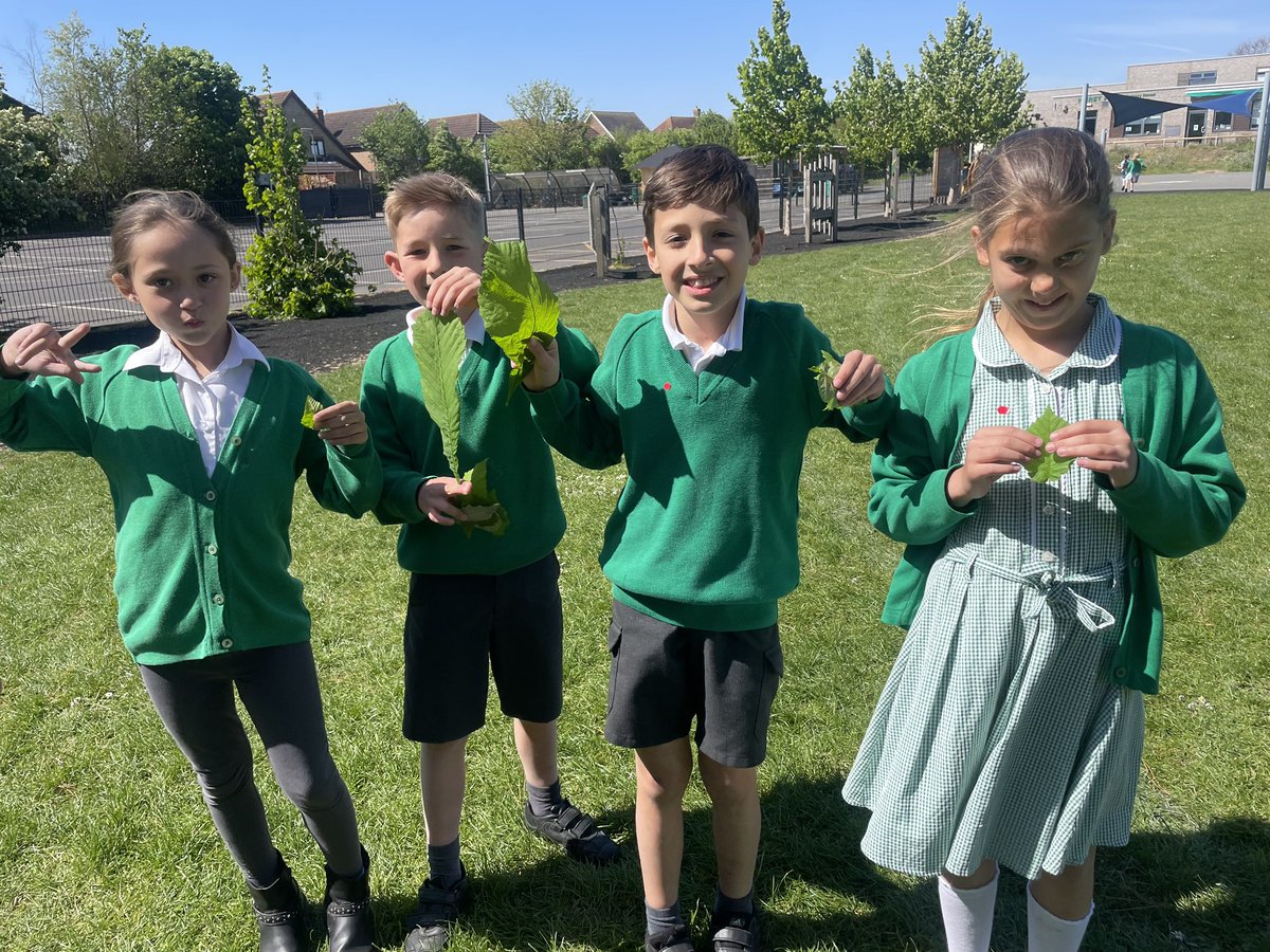 HurstParkSchool's tweet image. Year 4 turned into Nature Detectives this week! 🕵️‍♀️🍃 From a "Leaf Walk" around our grounds to classifying shapes and textures in the classroom, our budding scientists loved bringing the curriculum to life. 🌳🔬 #STEM #OutdoorLearning #ScienceIsFun #Year4 @LEOacademies