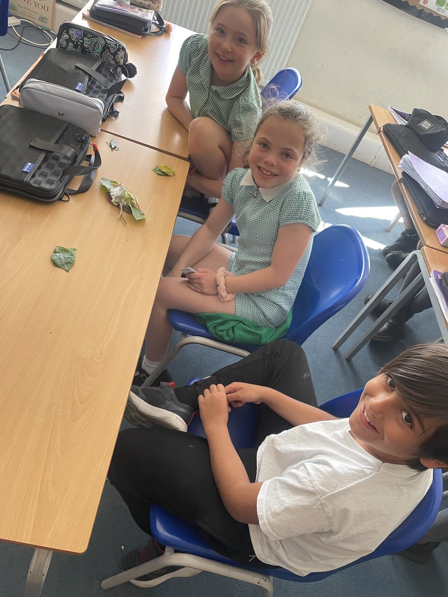 HurstParkSchool's tweet image. Year 4 turned into Nature Detectives this week! 🕵️‍♀️🍃 From a "Leaf Walk" around our grounds to classifying shapes and textures in the classroom, our budding scientists loved bringing the curriculum to life. 🌳🔬 #STEM #OutdoorLearning #ScienceIsFun #Year4 @LEOacademies