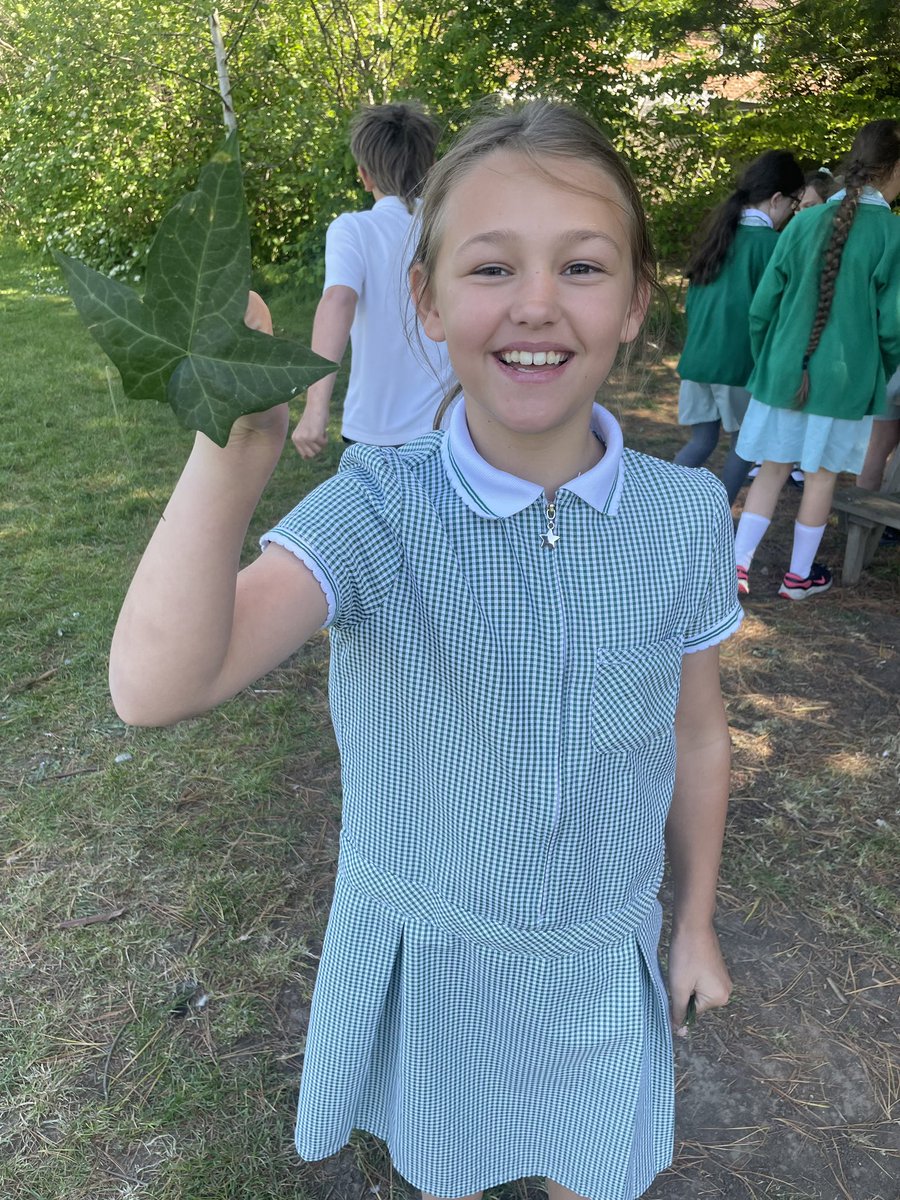HurstParkSchool's tweet image. Year 4 turned into Nature Detectives this week! 🕵️‍♀️🍃 From a "Leaf Walk" around our grounds to classifying shapes and textures in the classroom, our budding scientists loved bringing the curriculum to life. 🌳🔬 #STEM #OutdoorLearning #ScienceIsFun #Year4 @LEOacademies
