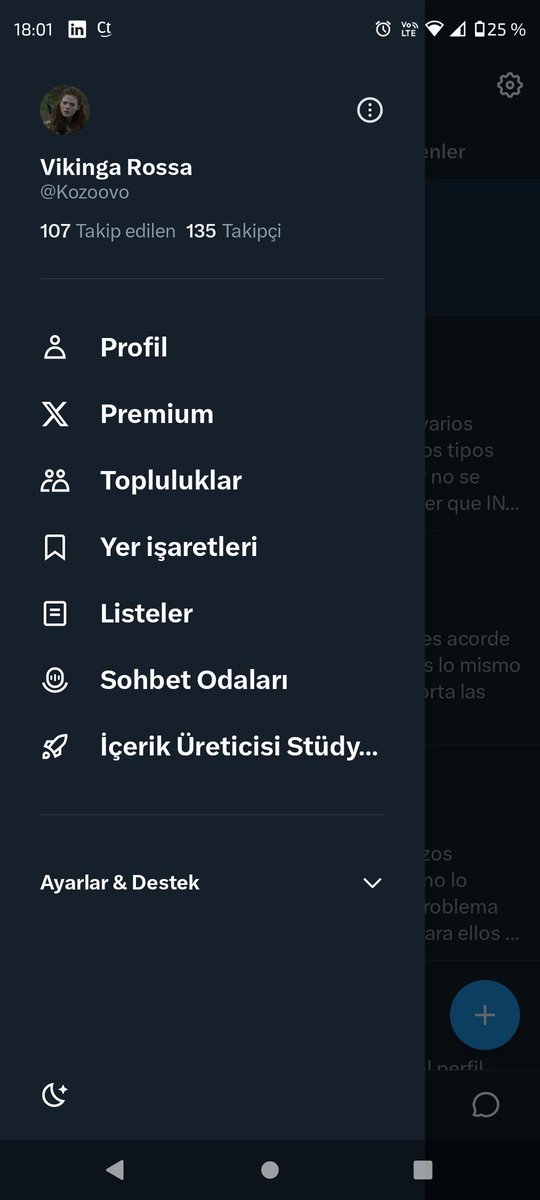 Quise traducir un tweet. Ahora está todo en turco. Siento que es algo que haría la China Suárez, wakala